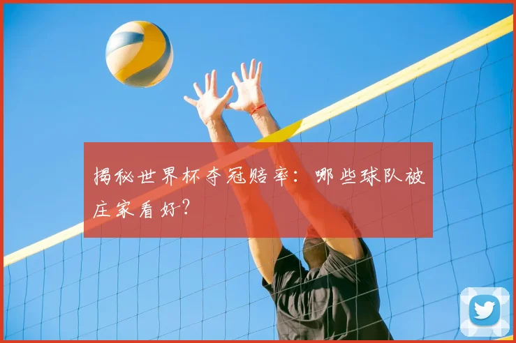 揭秘世界杯夺冠赔率：哪些球队被庄家看好？