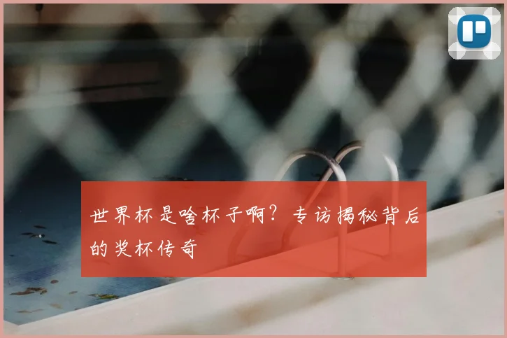 世界杯是啥杯子啊？专访揭秘背后的奖杯传奇