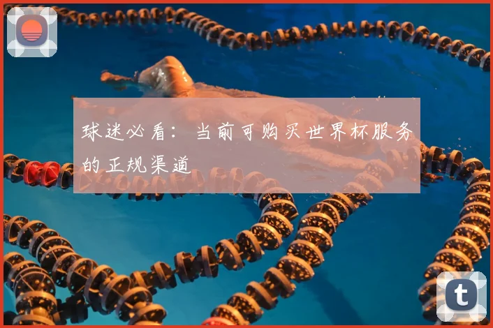 球迷必看：当前可购买世界杯服务的正规渠道