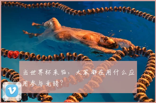 当世界杯来临，大家都在用什么应用参与竞猜？