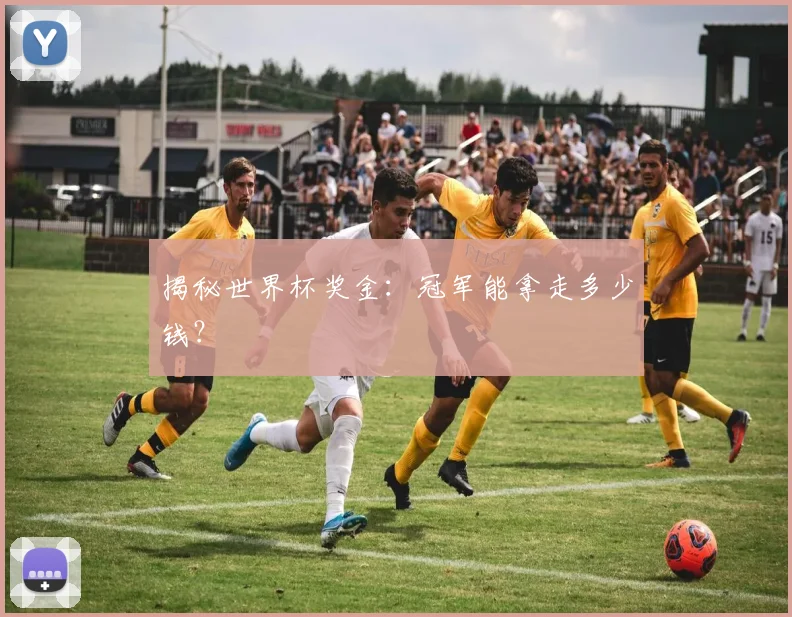 揭秘世界杯奖金:冠军能拿走多少钱?