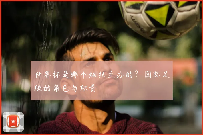 世界杯是哪个组织主办的？国际足联的角色与职责