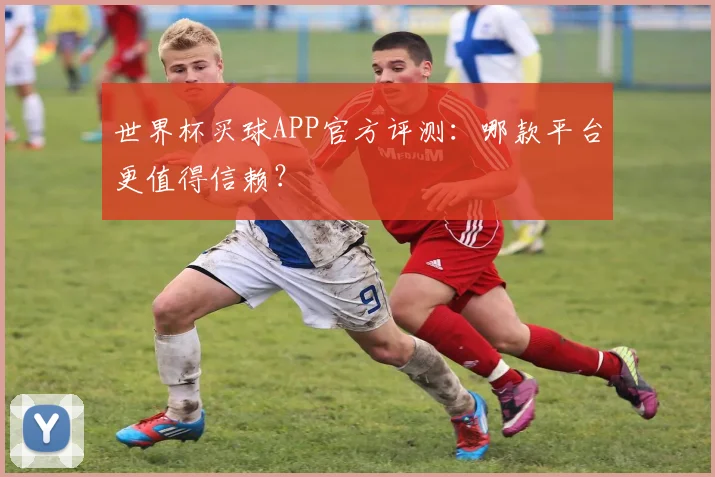世界杯买球APP官方评测：哪款平台更值得信赖？