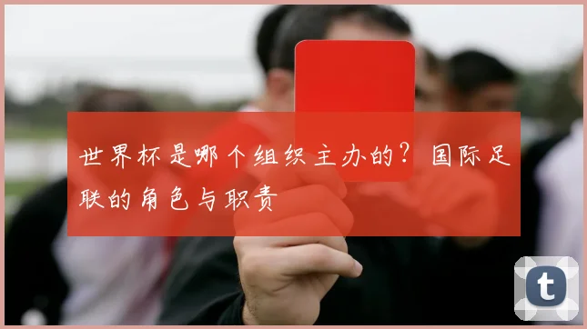 世界杯是哪个组织主办的？国际足联的角色与职责