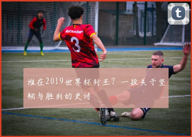谁在2019世界杯封王？一段关于坚韧与胜利的史诗